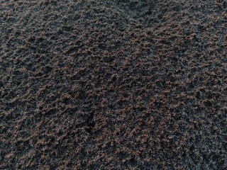 black sand beach