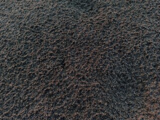black sand beach
