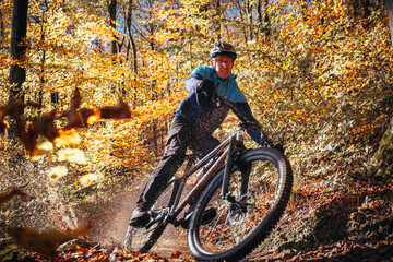 Fototapeta na wymiar Mountain biker riding in autumnal forest in Hampshire, England 