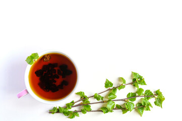 Cup of tea of birch chaga mushroom and crushed chaga fungus pieces for tea brewing isolated on a white background. space for text