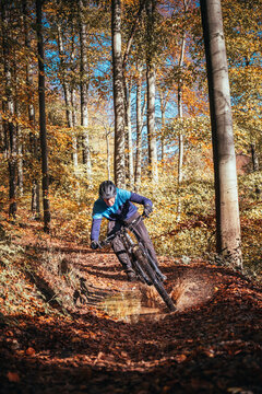 Mountain biker riding in autumnal forest in Hampshire, England 