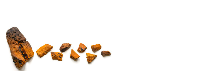peeled piece of birch chaga mushroom and crushed chaga fungus pieces for tea brewing isolated on a white background. banner. space for text