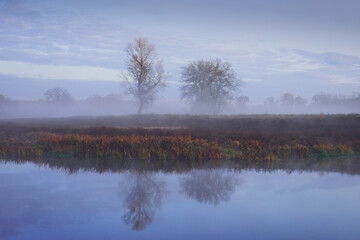 Fog over the lake in early morning