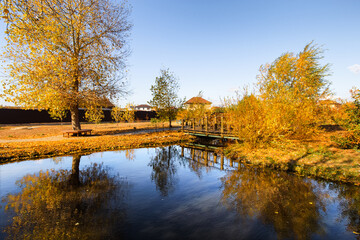 Wooden bridge over the pond,  glittering water surface, fall golden colors of а tree and shrubs. Bright golden leaves.Fall trees reflection in water.Pond autumn landscape