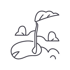 Bean sprouts icon, linear isolated illustration, thin line vector, web design sign, outline concept symbol with editable stroke on white background.