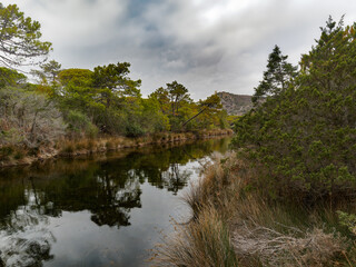 Landscapes in the Uccellina Natural Park in Maremma Grosseto Tuscany Italy