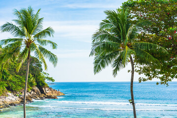 Beautiful tropical beach sea ocean around coconut palm tree with blue sky and white cloud