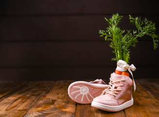 Wooden background with childrens shoe with carrots for Santa's horse, Traditional Dutch holiday postcard Sinterklaas . Copy space. High quality photo. 