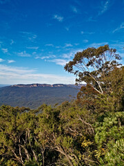 Beautiful view of deep valleys and tall mountains, Jamison Lookout, Blue Mountain National Park, New South Wales, Australia
