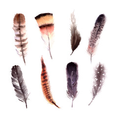 Hand drawn watercolor colorful bird feather set isolated on white