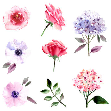 Hand drawn watercolor flowers set.