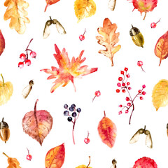 Obraz na płótnie Canvas Hand drawn autumn nature seamless pattern with leaves, acorns, berries