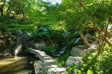 日本　静岡県浜松市、浜松城公園の日本庭園