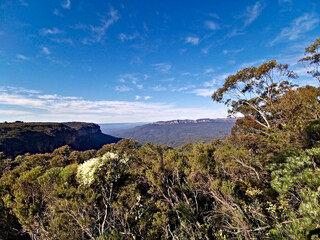 Beautiful view of deep valleys and tall mountains, Jamison Lookout, Blue Mountain National Park, New South Wales, Australia
