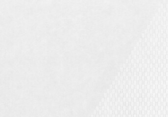 Obraz premium Japanese_paper_washi_03_White