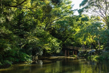 Fototapeta na wymiar 日本　静岡県浜松市、浜松城公園の日本庭園