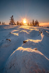 Winter Sunrise With Trees At The End Of Winter