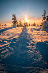 Winter Sunrise With Trees At The End Of Winter