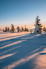 Winter Sunrise With Trees At The End Of Winter