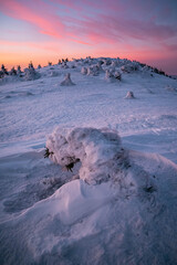 Winter Sunrise With Frozen Trees