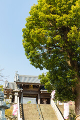 日本　静岡県袋井市、遠州三山の一つ可睡斎