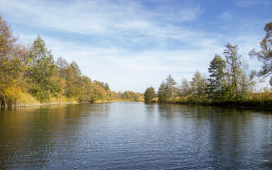 Obraz na płótnie Canvas lake in the forest