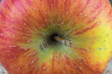 Red apple on the table, close-up
