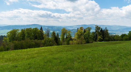 Fototapeta na wymiar Meadow with trees on Bahenec in Slezske Beskydy mountains with hills of Moravskoslezske Beskydy mountains on the background in Czech republic