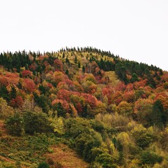 mountains in autumn season in Bilbao, Spain. Autumn colors