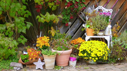 Herbstdekoration im Vorgarten
