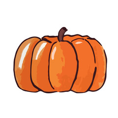 Orange pumpkin, fresh, raw vegetables. Freehand drawing, vector.