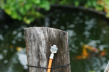 Close-Up a sprinkler spray head on Stump on edge fish pond.