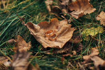 wedding rings