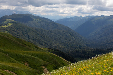 Beautiful summer views of blooming alpine meadows of Caucasus mountains