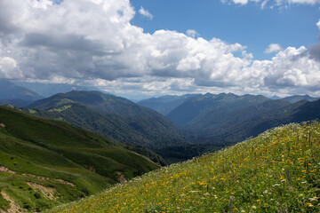 Naklejka premium Beautiful summer views of blooming alpine meadows of Caucasus mountains
