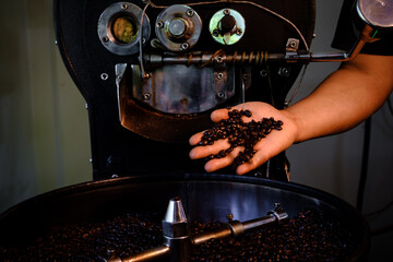 Fresh Coffee Beans - roasted 100% Arabica coffee beans falling into a spinning cooler professional machine. at community industry chiang rai Thailand