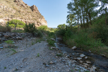 Fototapeta na wymiar water flowing down a river in southern Spain