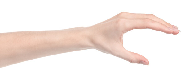 Female caucasian hands isolated white background showing different gestures. woman hands showing gesture holds something or takes, gives, points