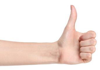 Female caucasian hands isolated white background showing different gestures. woman hands showing gesture holds something or takes, gives, points