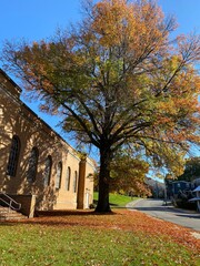 autumn in the park