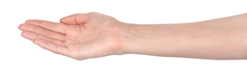 Female caucasian hands isolated white background showing different gestures. woman hands showing gesture holds something or takes, gives, points
