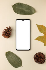 Empty smartphone screen with natural concept props