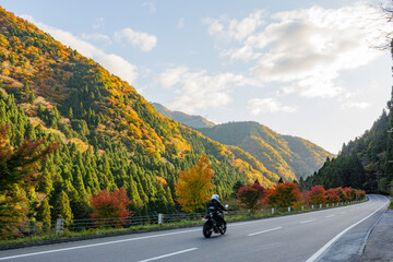 紅葉する山々に面する道路を疾走するバイク
