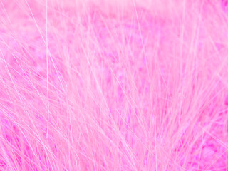 Bright soft pink white abstract background. Love concept for happy Valentine's day collection.