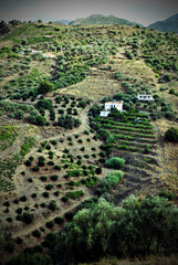 Frigiliana, Andalusia, Costa del Sol, Spain