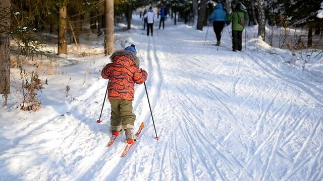 Little kid skier with skis and poles learning to ride on white snow in winter