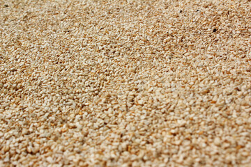 Heap of organic natural sesame seeds