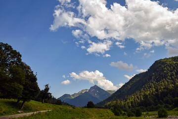 Abkhazia mountain meadows are very similar to the alps