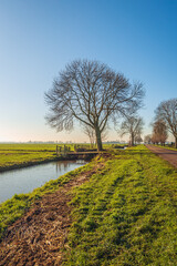 Dutch polder landscape typical of the Alblasserwaard region. The photo was taken on a winter day...