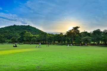 Fototapeta na wymiar green field in the morning